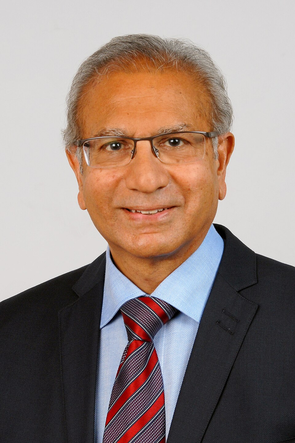 Prof Sam H Ahmedzai portrait