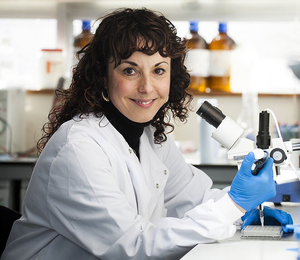 Prof Sarah Tabrizi portrait